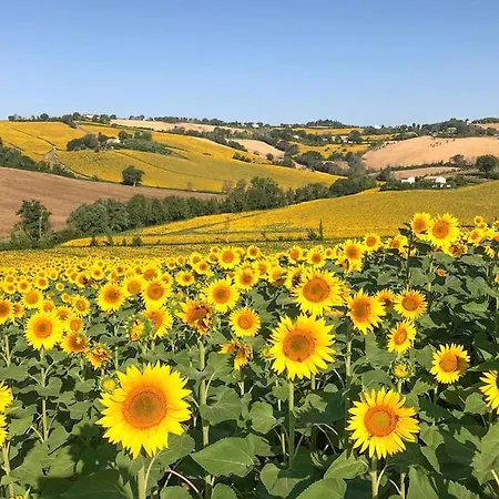 בית נופש Con Piscina - Bentivoglio